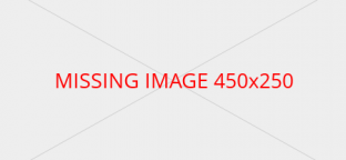  L'égalité professionnelle entre les femmes et les hommes